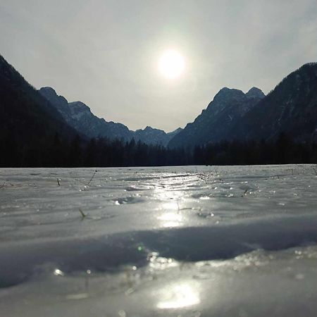 Appartamento Turisticna Kmetija Psnak Mojstrana Esterno foto