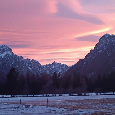 Appartamento Turisticna Kmetija Psnak Mojstrana Esterno foto