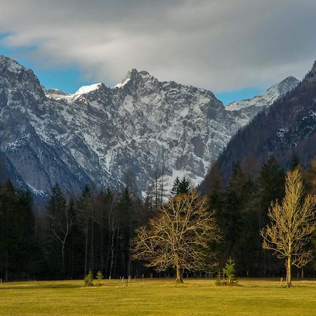 Appartamento Turisticna Kmetija Psnak Mojstrana Esterno foto