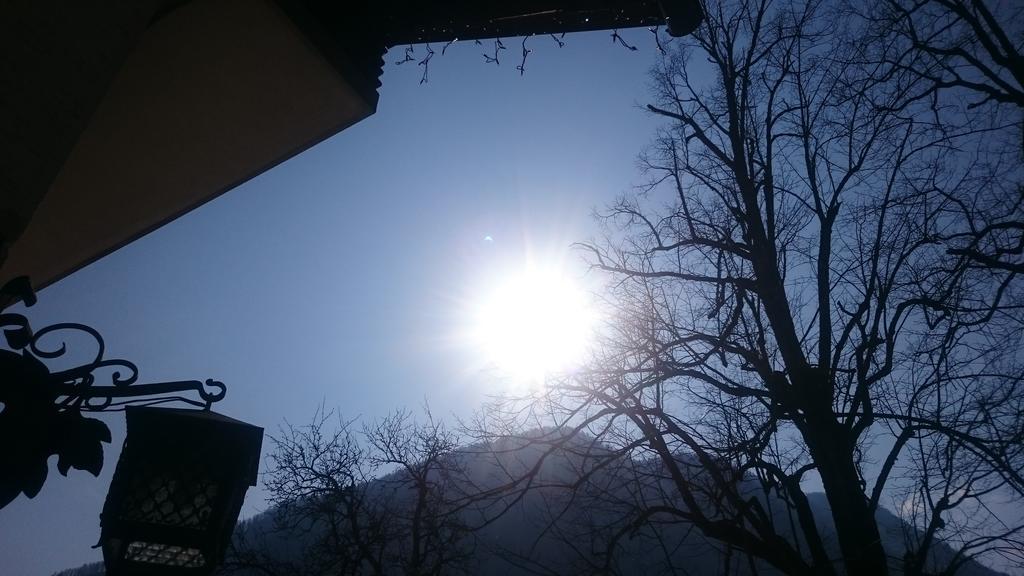 Appartamento Turisticna Kmetija Psnak Mojstrana Esterno foto