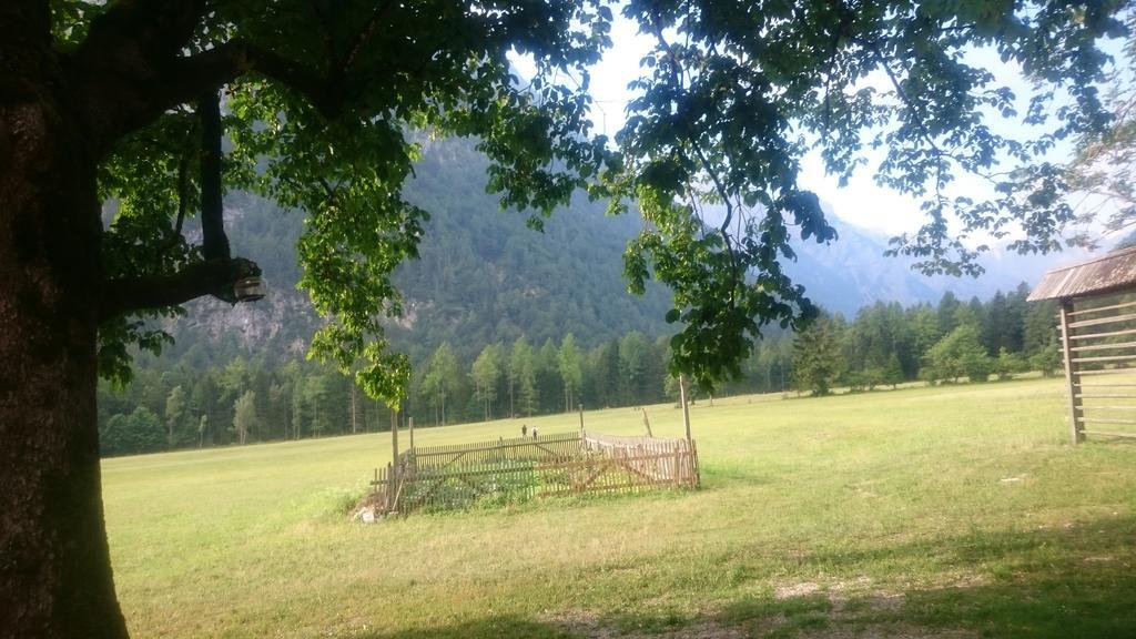 Appartamento Turisticna Kmetija Psnak Mojstrana Esterno foto