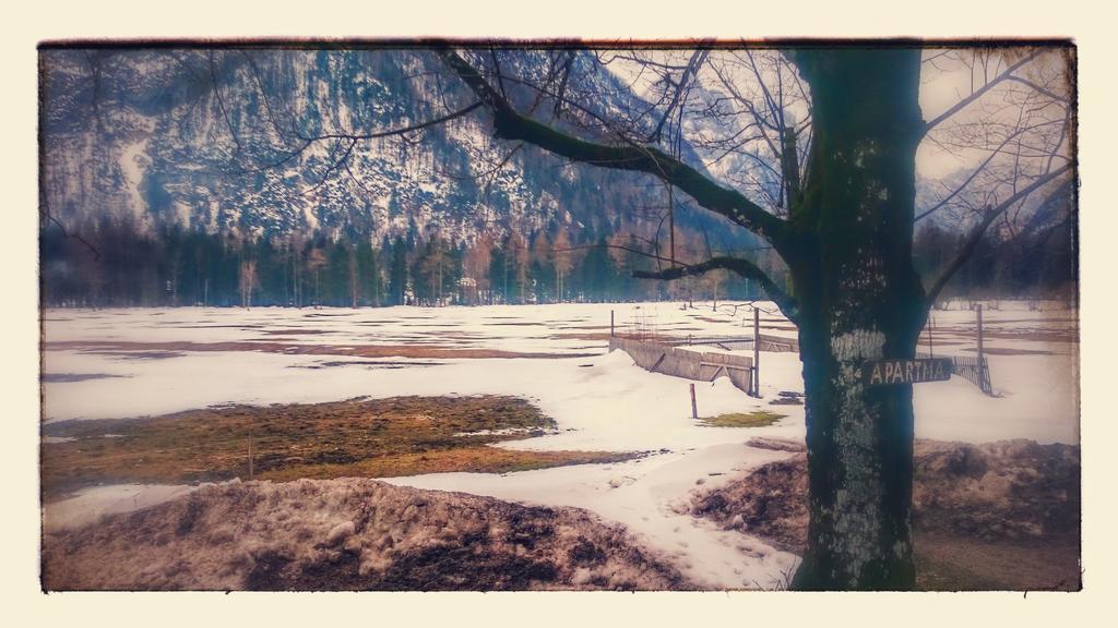 Appartamento Turisticna Kmetija Psnak Mojstrana Esterno foto
