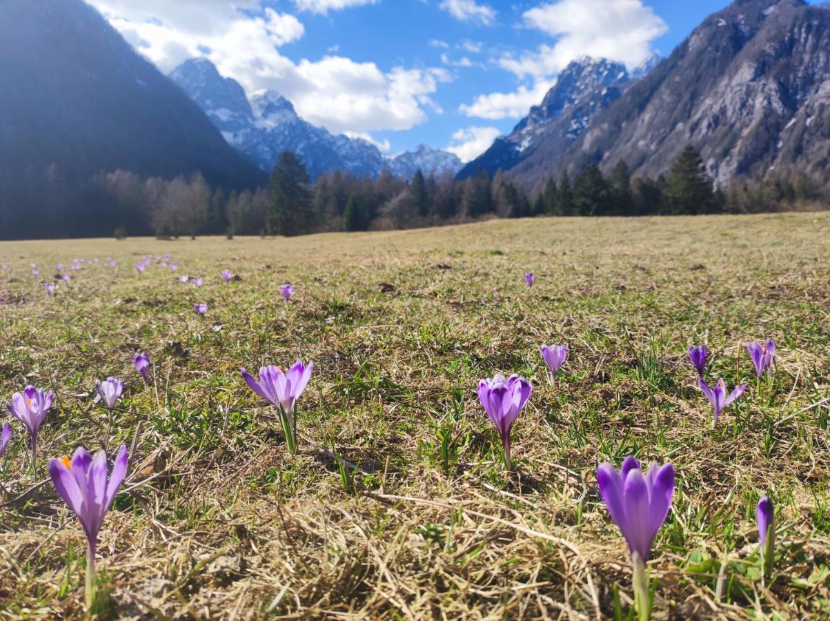 Appartamento Turisticna Kmetija Psnak Mojstrana Esterno foto