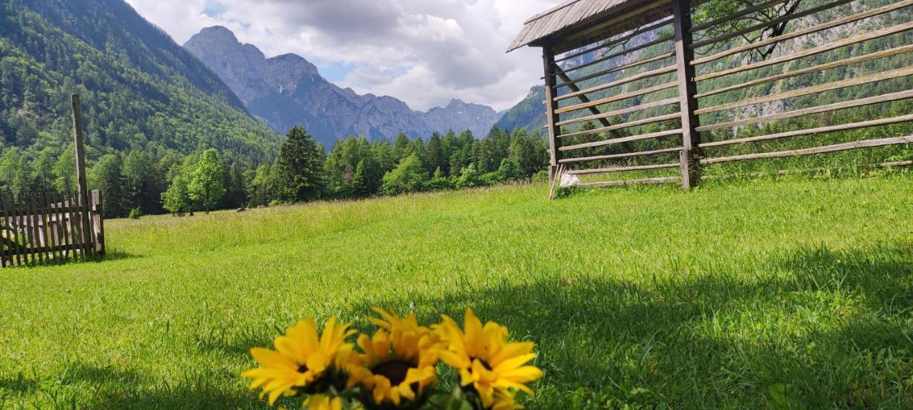 Appartamento Turisticna Kmetija Psnak Mojstrana Esterno foto