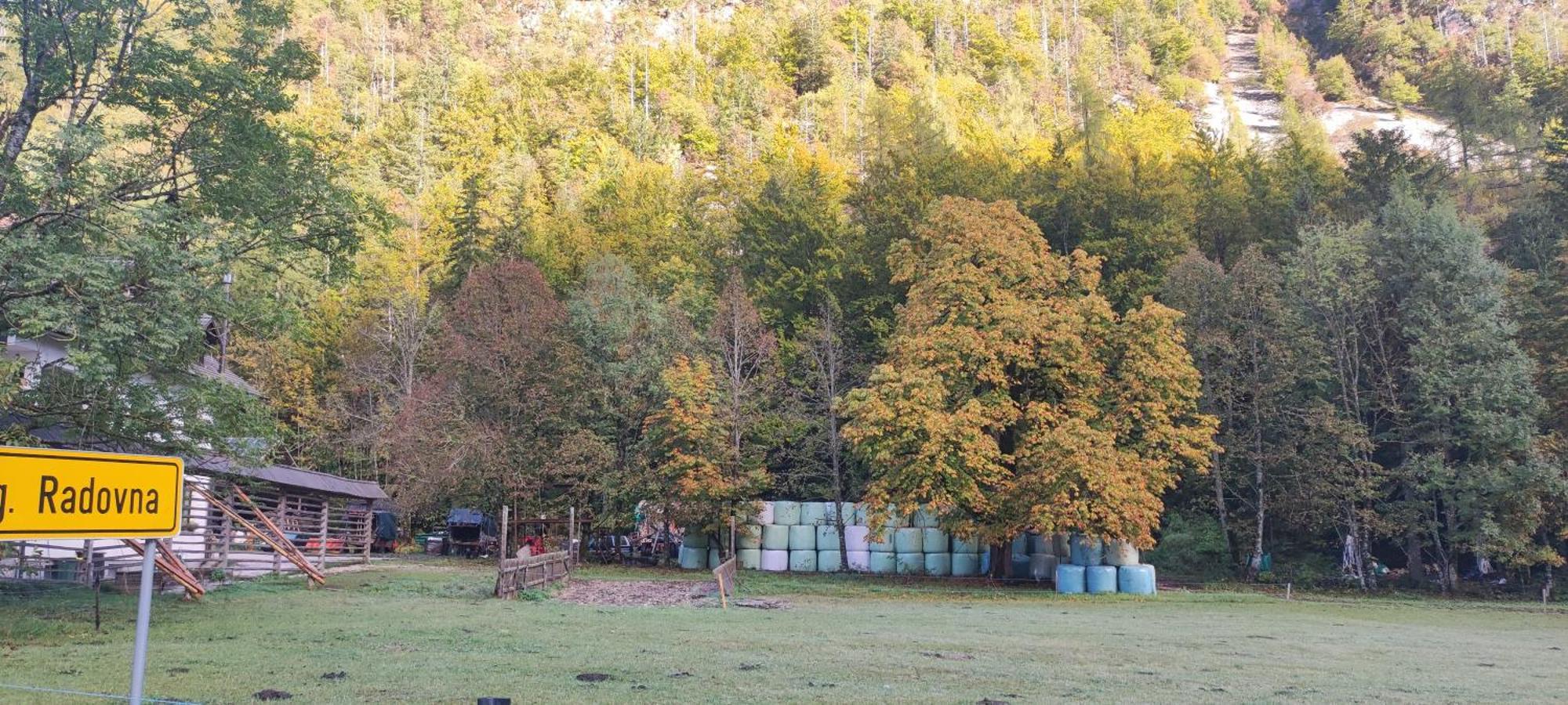 Appartamento Turisticna Kmetija Psnak Mojstrana Esterno foto
