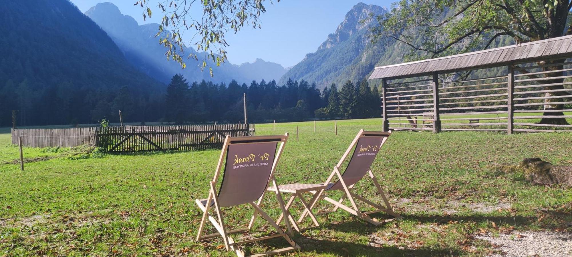 Appartamento Turisticna Kmetija Psnak Mojstrana Esterno foto