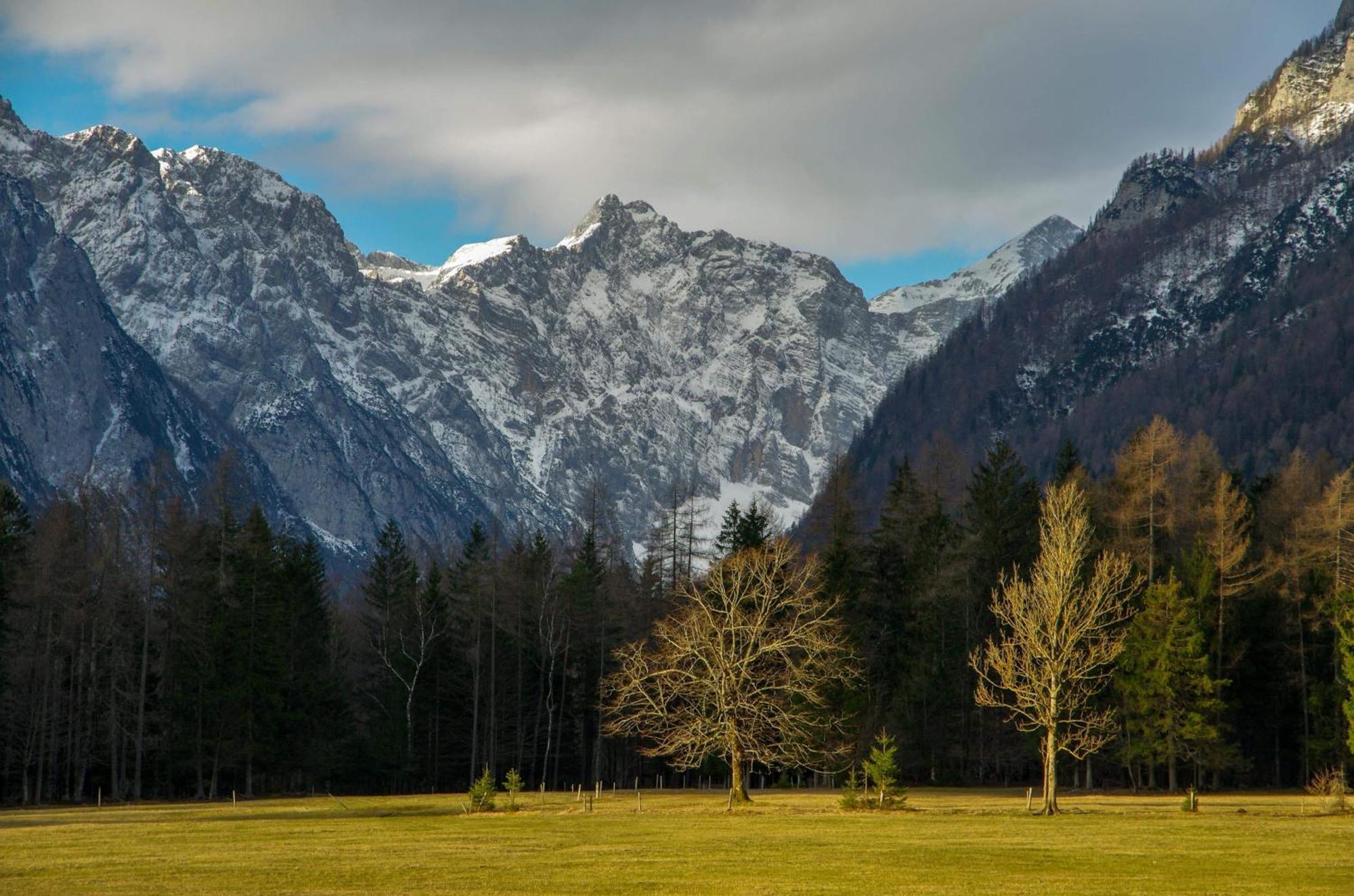 Appartamento Turisticna Kmetija Psnak Mojstrana Esterno foto
