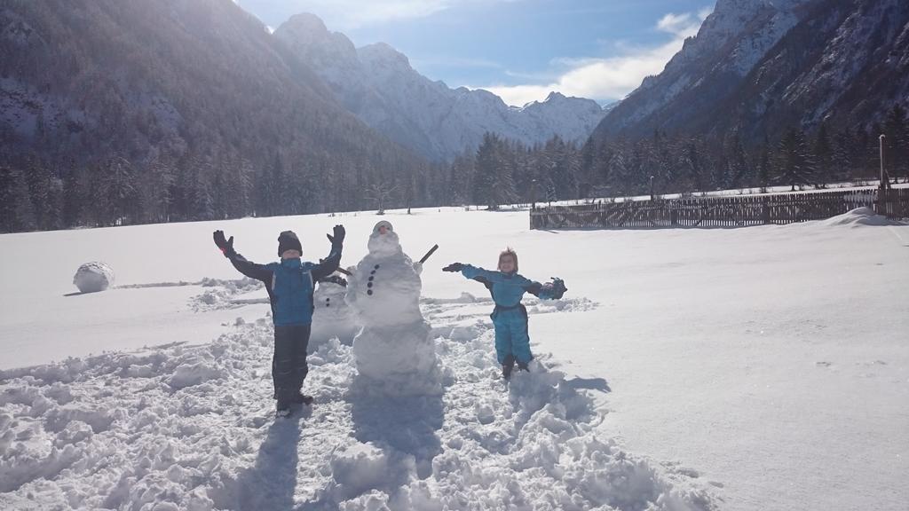 Appartamento Turisticna Kmetija Psnak Mojstrana Esterno foto
