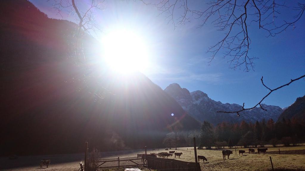 Appartamento Turisticna Kmetija Psnak Mojstrana Esterno foto