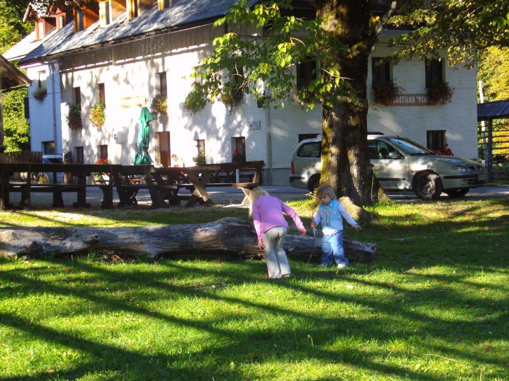 Appartamento Turisticna Kmetija Psnak Mojstrana Esterno foto