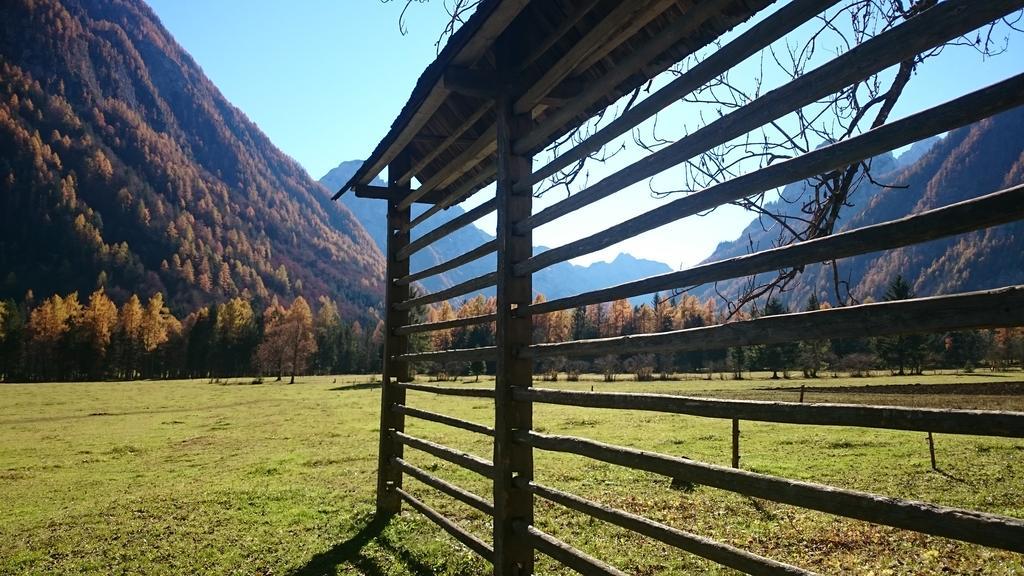 Appartamento Turisticna Kmetija Psnak Mojstrana Esterno foto