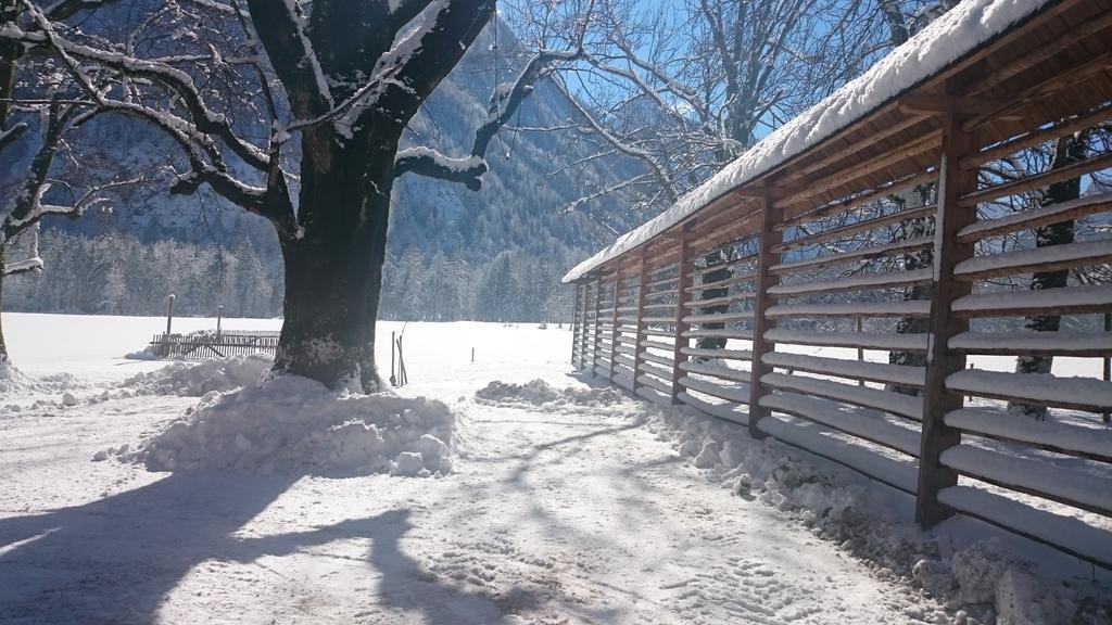 Appartamento Turisticna Kmetija Psnak Mojstrana Esterno foto