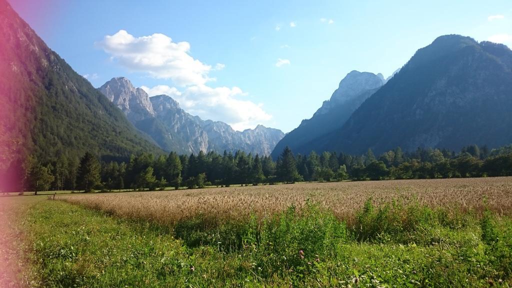 Appartamento Turisticna Kmetija Psnak Mojstrana Esterno foto