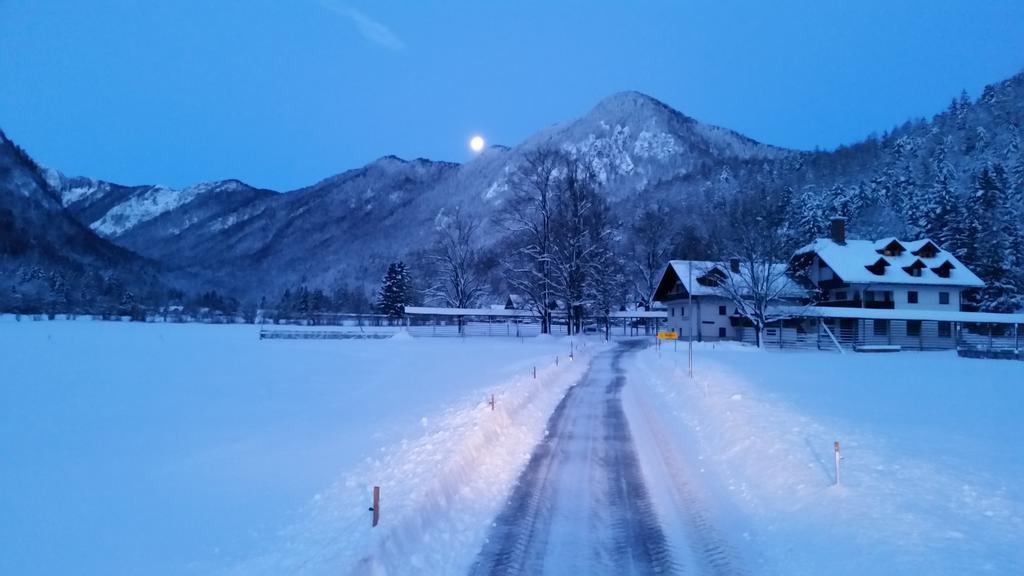 Appartamento Turisticna Kmetija Psnak Mojstrana Esterno foto