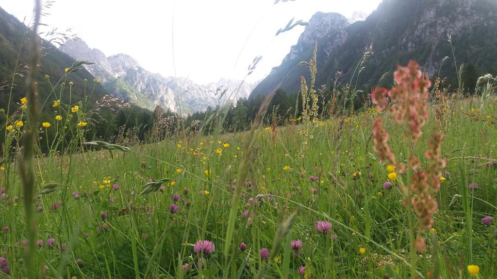 Appartamento Turisticna Kmetija Psnak Mojstrana Esterno foto