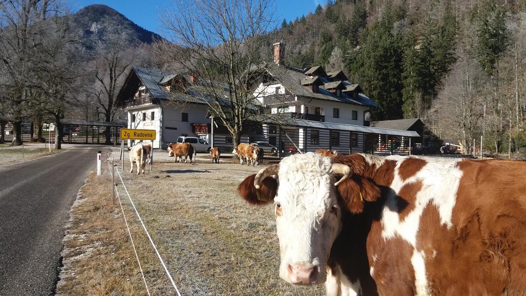 Appartamento Turisticna Kmetija Psnak Mojstrana Esterno foto