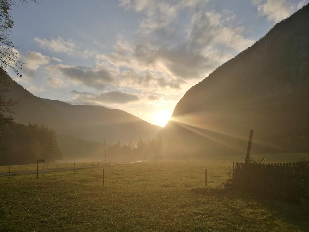 Appartamento Turisticna Kmetija Psnak Mojstrana Esterno foto