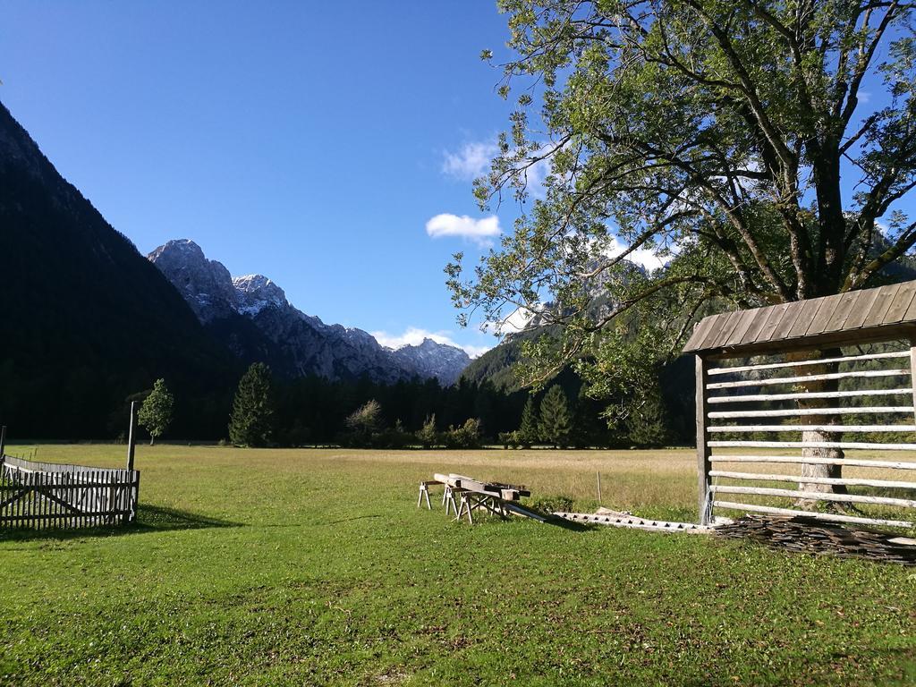 Appartamento Turisticna Kmetija Psnak Mojstrana Esterno foto
