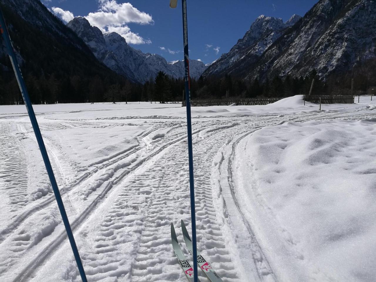 Appartamento Turisticna Kmetija Psnak Mojstrana Esterno foto