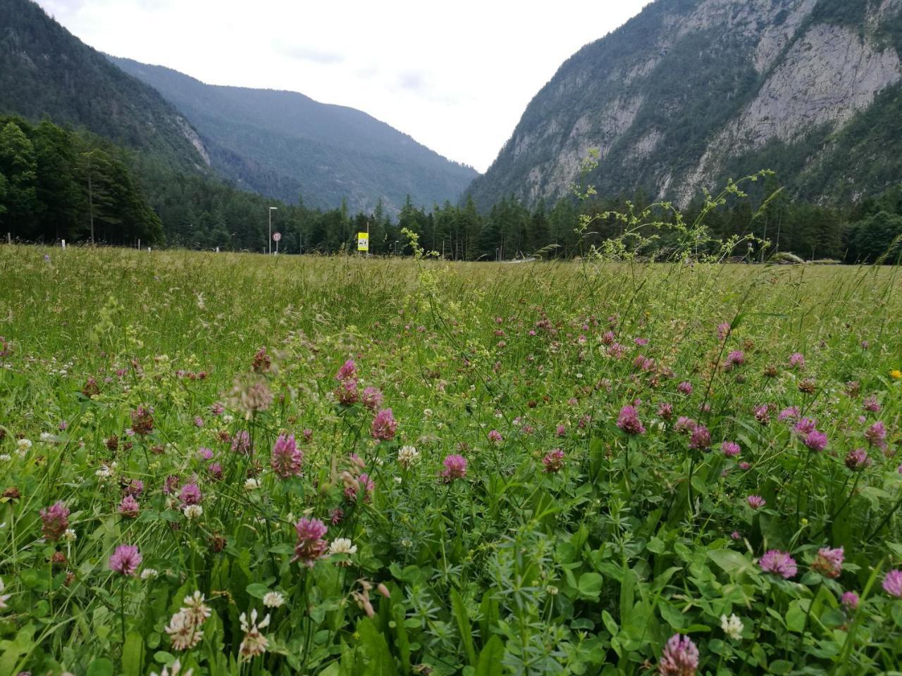 Appartamento Turisticna Kmetija Psnak Mojstrana Esterno foto