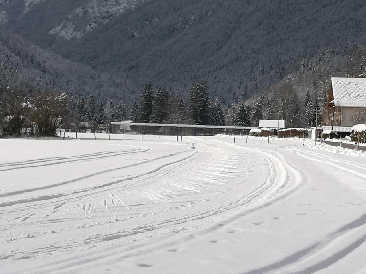 Appartamento Turisticna Kmetija Psnak Mojstrana Esterno foto